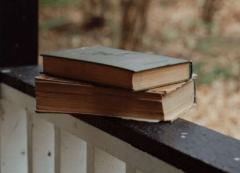 Leia mais sobre o artigo “Aprender e ensinar inglês com literatura: desafios e possibilidades” tem edição da Pragmatha