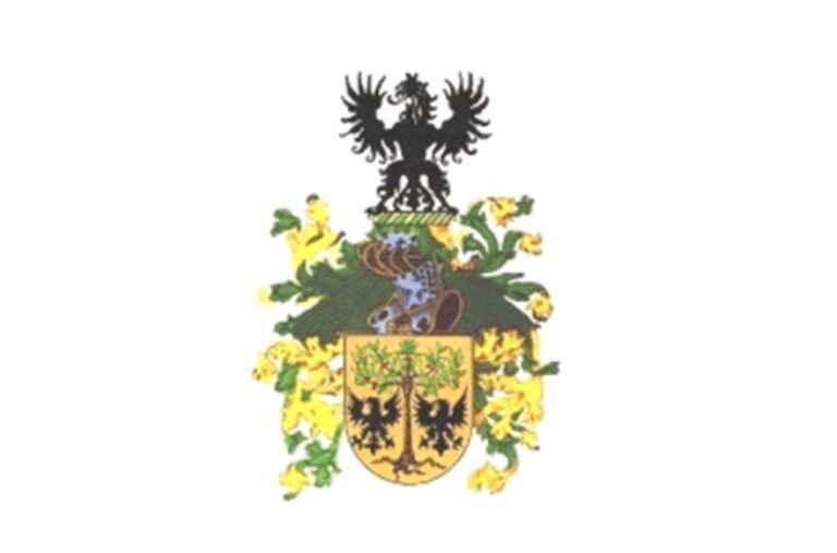 Leia mais sobre o artigo Escritora Isabel Cristina Oliveira de Ávila prepara livro sobre a família Ávila