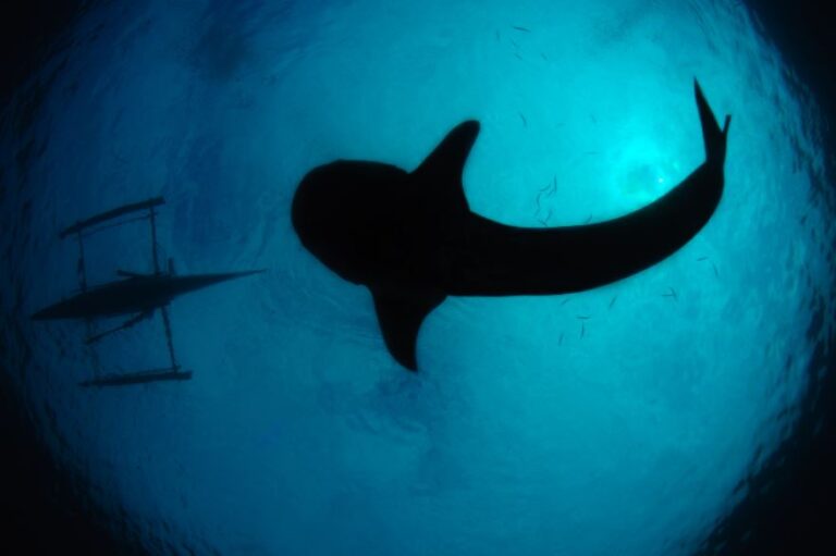 Leia mais sobre o artigo Exercício literário: “À deriva em alto mar”