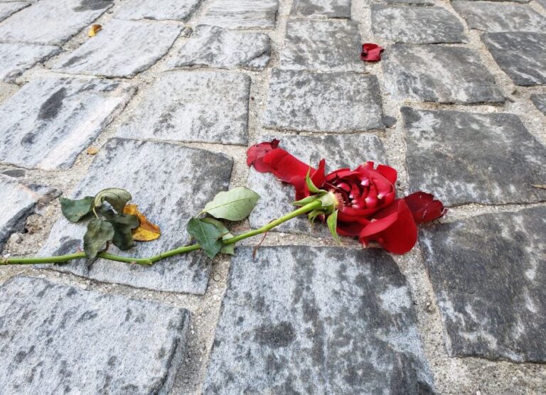 Leia mais sobre o artigo Exercício literário: “Pétalas ao chão”