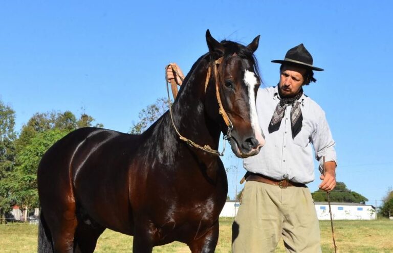 Leia mais sobre o artigo Livro sobre doma tradicional aborda relação respeitosa e saudável entre homem e cavalo