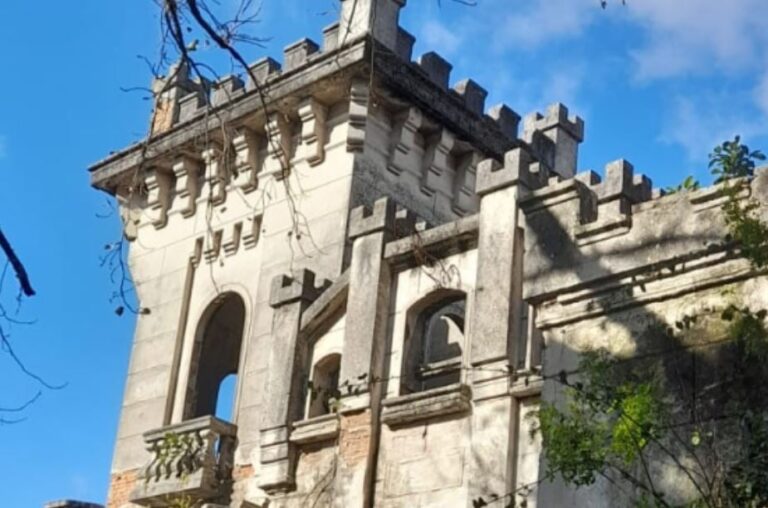 Leia mais sobre o artigo Sentimentos, percepções e visão de mundo de Maria Sirlei em “Um sonho no castelo”