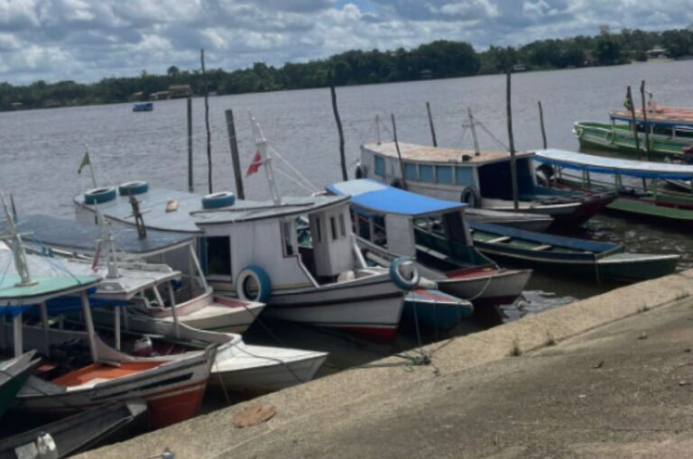 Leia mais sobre o artigo Barcos, ribeirinhos, paisagens, recantos e comunidades da Amazônia, sob o olhar da escritora Eleci Dias da Silva