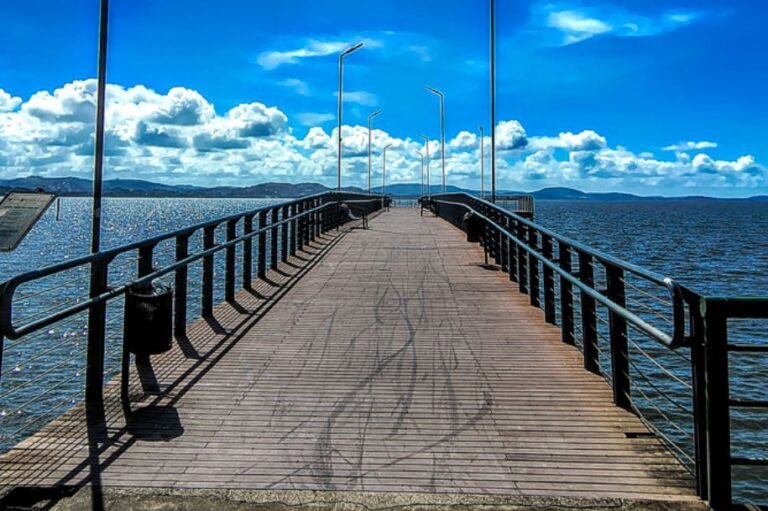 Leia mais sobre o artigo Conheça os autores da antologia em homenagem aos 100 anos de Guaíba